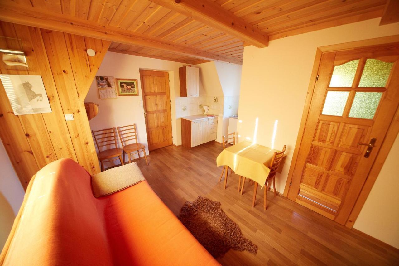 Siklawa Lägenhet Zakopane Rum bild